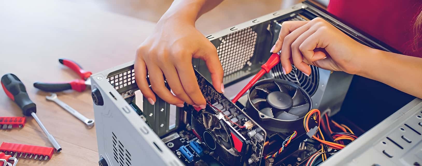 Corso di Operatore Informatico - Araba Fenice Lamezia Terme