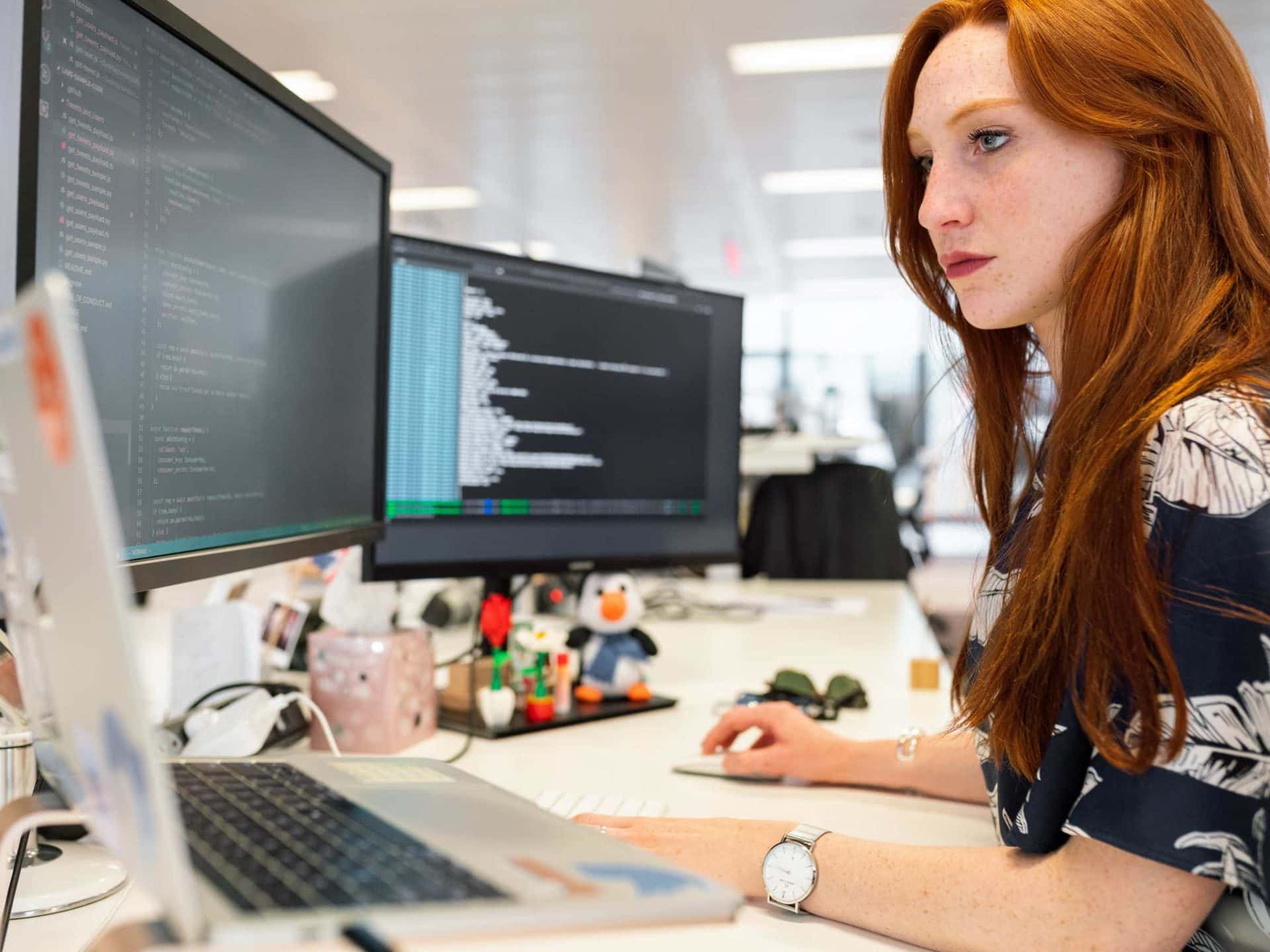 Corso di Tecnico della programmazione e dello sviluppo di siti internet e pagine web - Araba Fenice Lamezia Terme