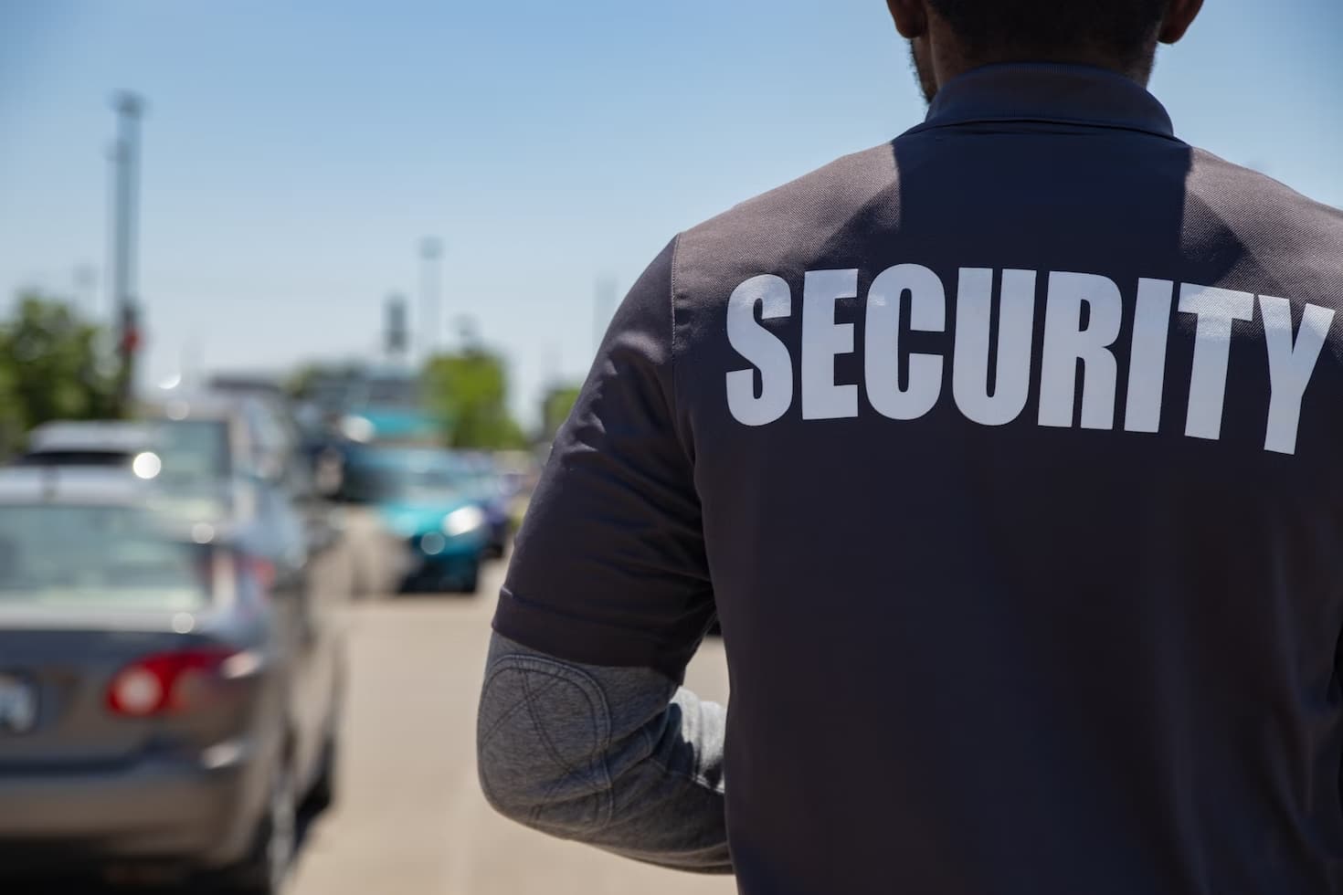 Corso di Personale addetto ai servizi di controllo (EX Buttafuori) - Araba Fenice Lamezia Terme