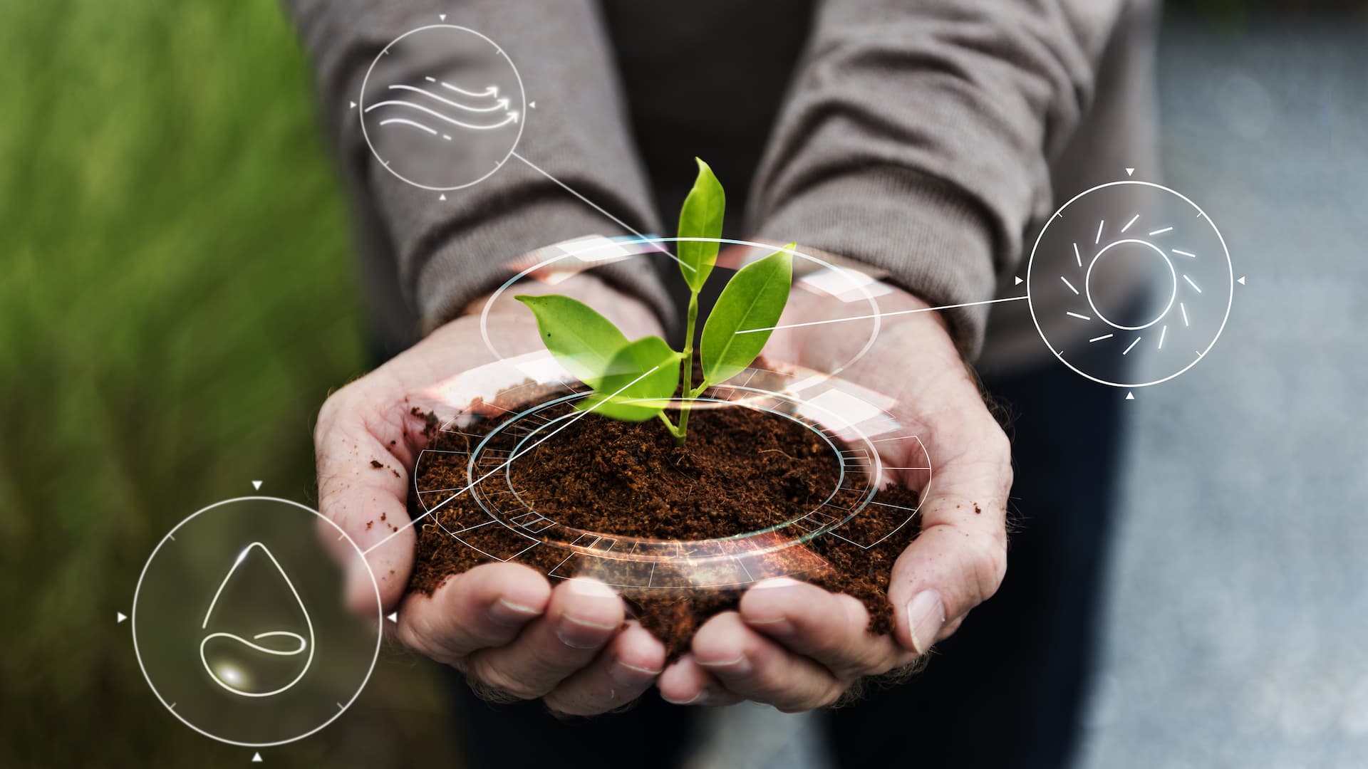 Corso di Imprenditore Agricolo Professionale (IAP) - Araba Fenice Lamezia Terme